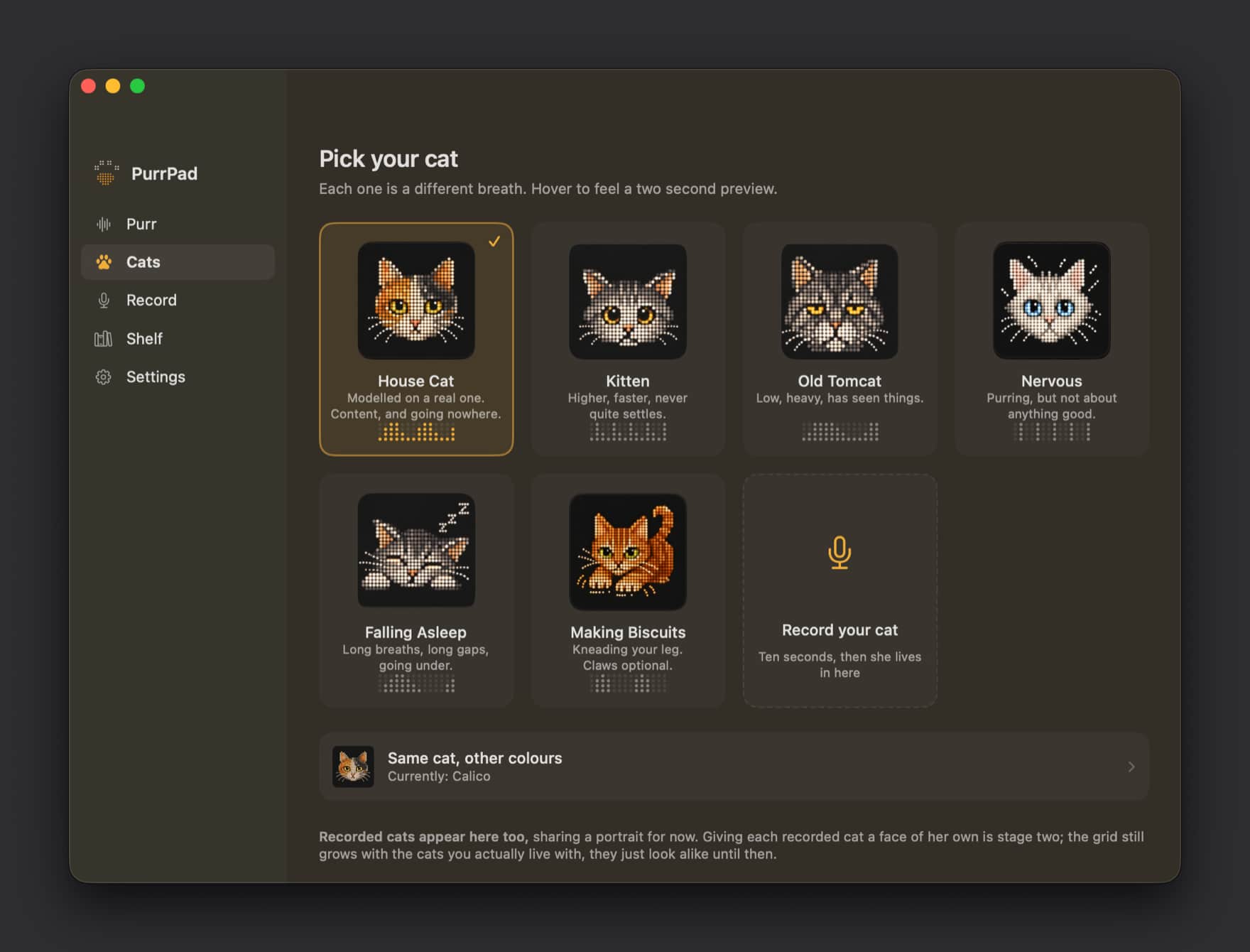 PurrPad interface on Mac